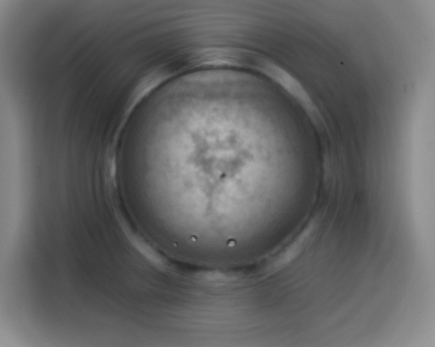 X0000113541234200910021343