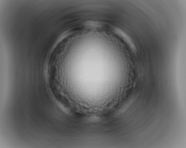 X0000113541235200910021343