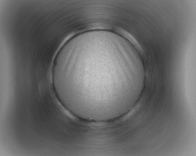 X0000113541236200910021343