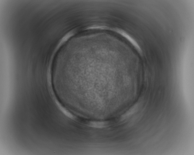 X0000113541237200910021343