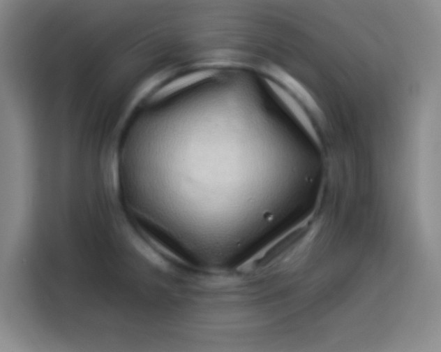 X0000113541238200910021343