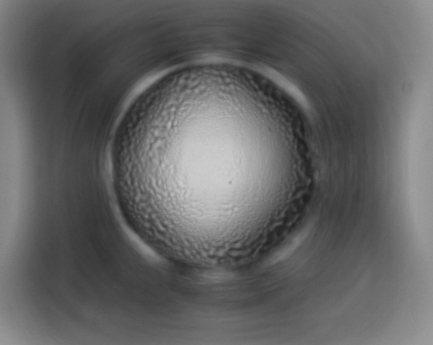 X0000113541239200910021343