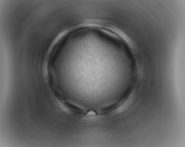 X0000113541240200910021343