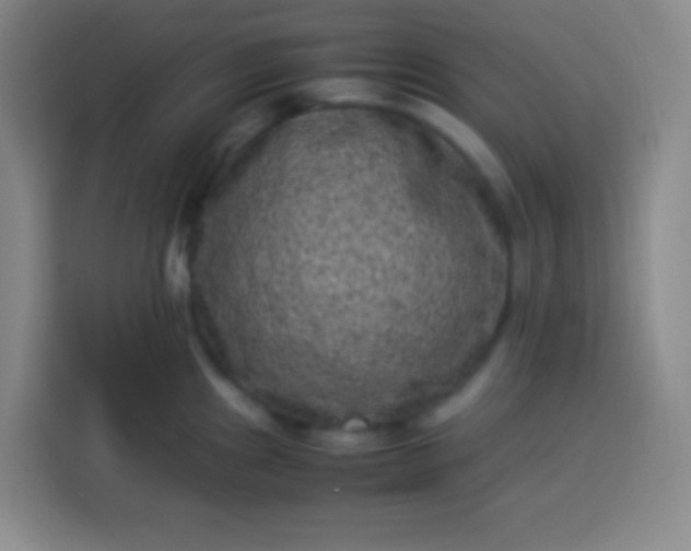 X0000113541241200910021343