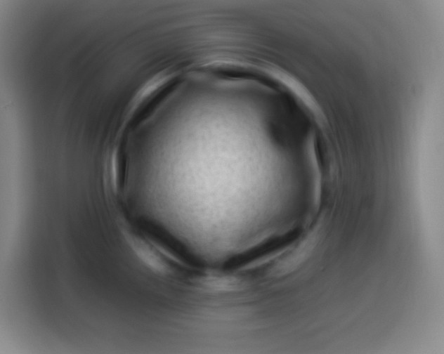 X0000113541242200910021343