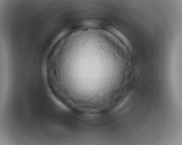 X0000113541243200910021343