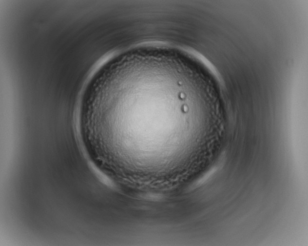 X0000113541245200910021343