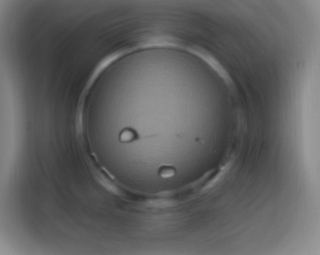 X0000113541246200910021343