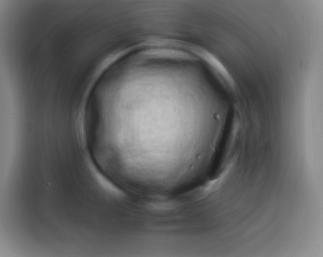 X0000113541247200910021343