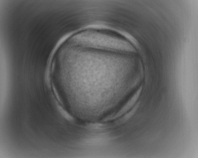 X0000113541248200910021343