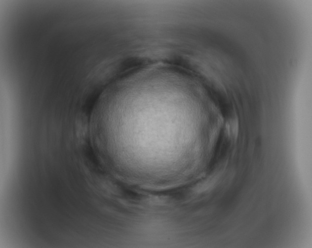 X0000113541251200910021342