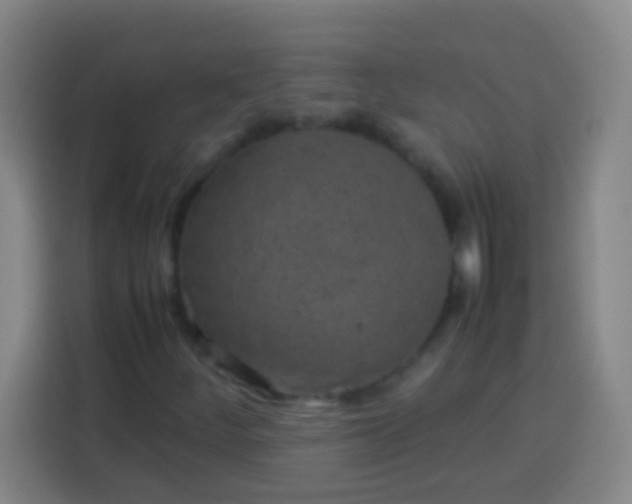 X0000113541252200910021342