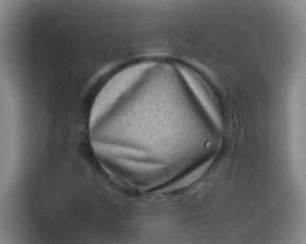 X0000113541255200910021342