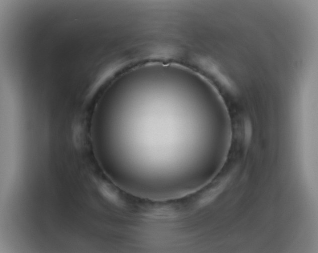 X0000113541256200910021342