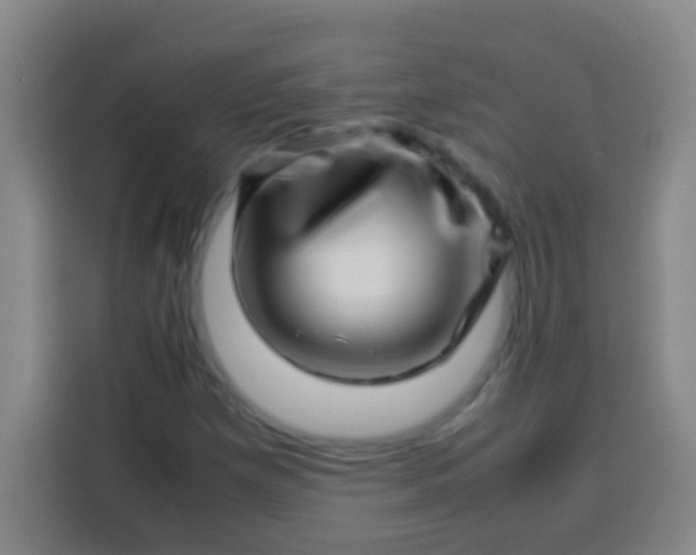 X0000113541257200910021342