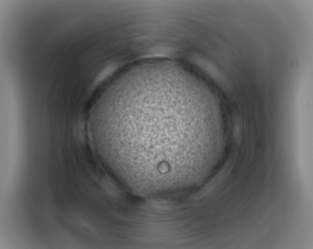 X0000113541258200910021342