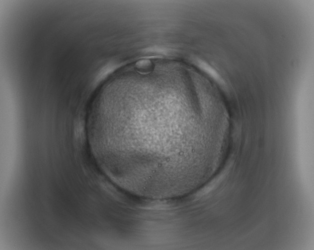 X0000113541259200910021342