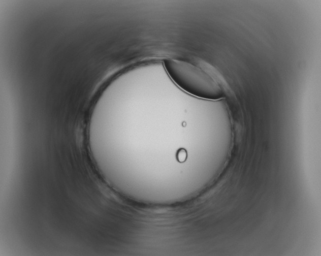 X0000113541260200910021342