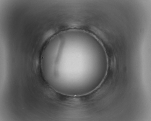 X0000113541261200910021342