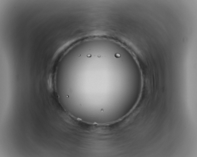 X0000113541262200910021342