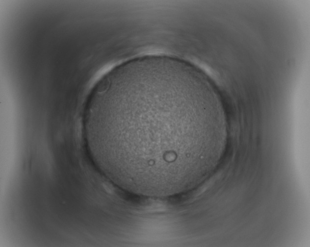 X0000113541263200910021342