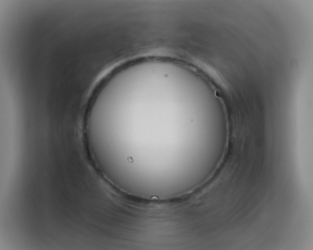 X0000113541264200910021342