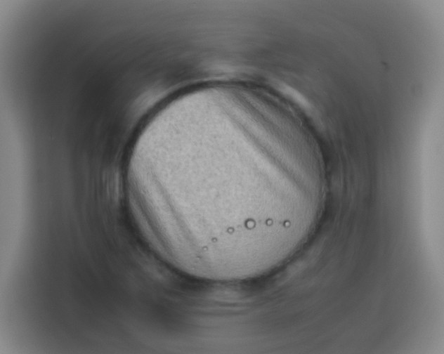 X0000113541267200910021342