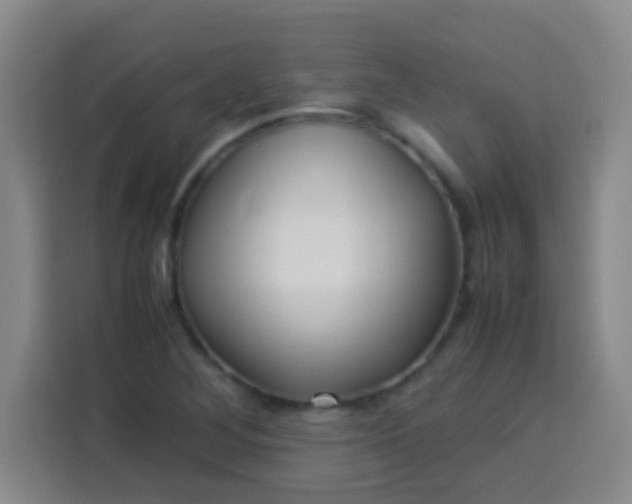 X0000113541268200910021342