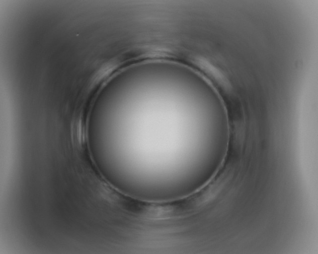 X0000113541269200910021342