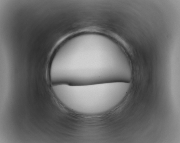 X0000113541272200910021342