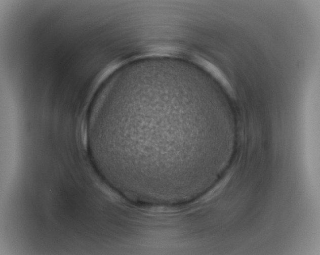 X0000113541275200910021342