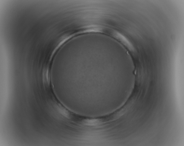 X0000113541276200910021342