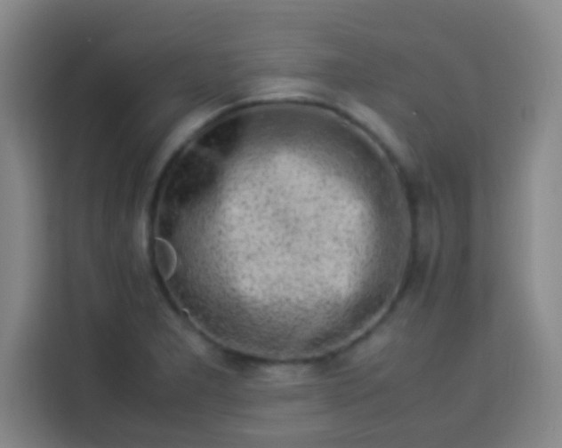 X0000113541277200910021342