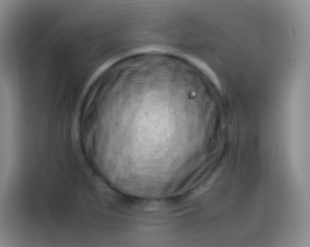 X0000113541279200910021342