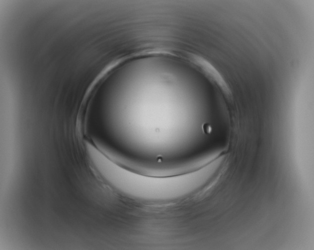 X0000113541284200910021342