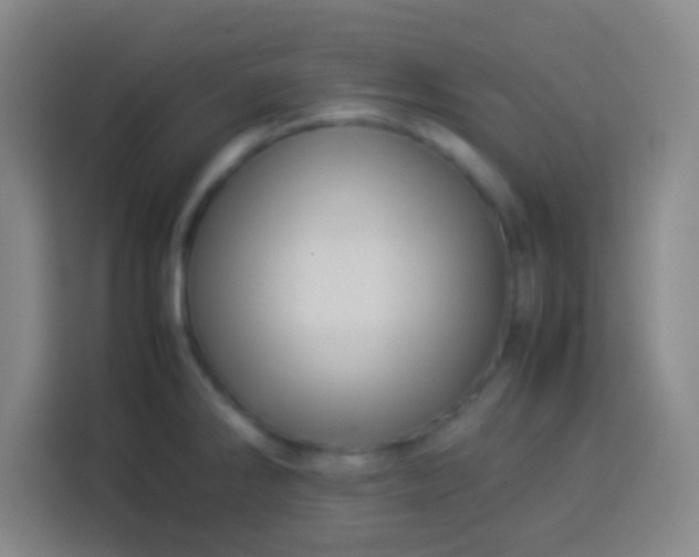 X0000113541286200910021342