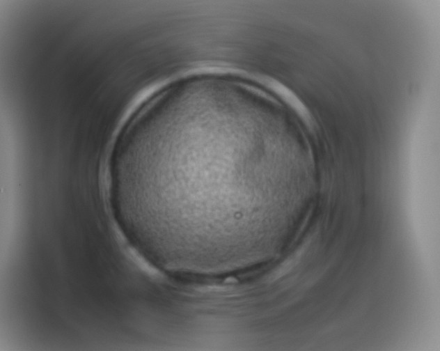 X0000113541287200910021342