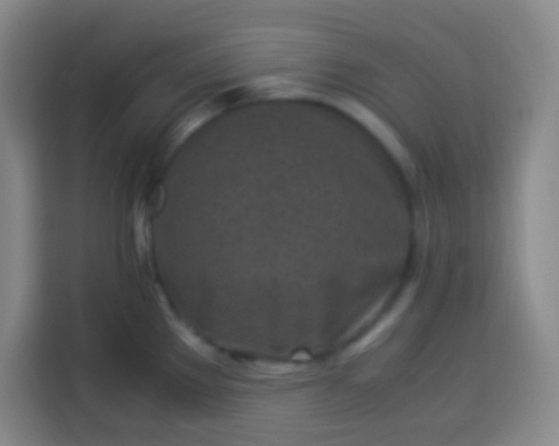 X0000113541289200910021342