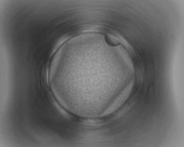 X0000113541290200910021342