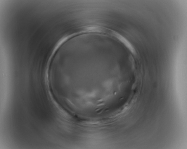 X0000113541291200910021342