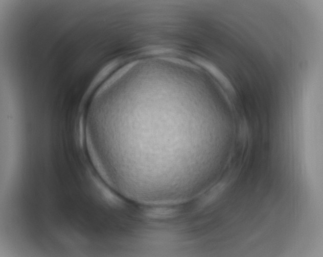 X0000113541294200910021342