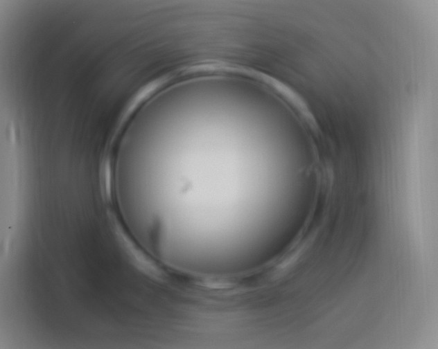 X0000113541295200910021342