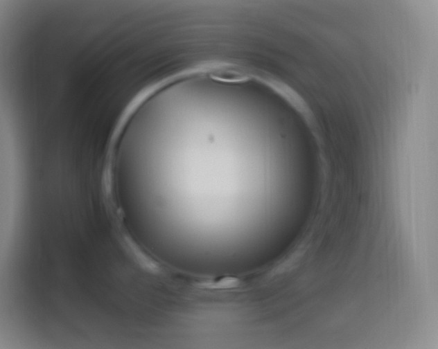 X0000113541296200910021342