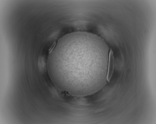 X0000113541298200910021341