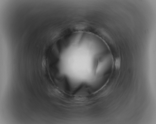 X0000113541299200910021341