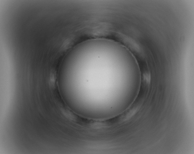 X0000113541300200910021341