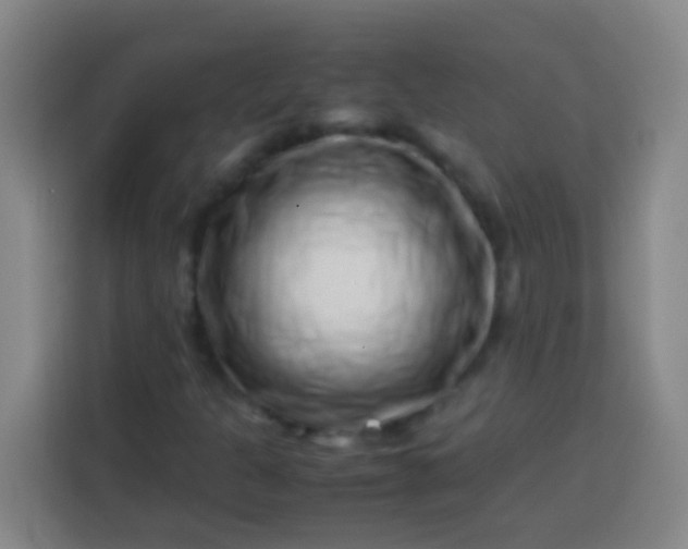 X0000113541301200910021341