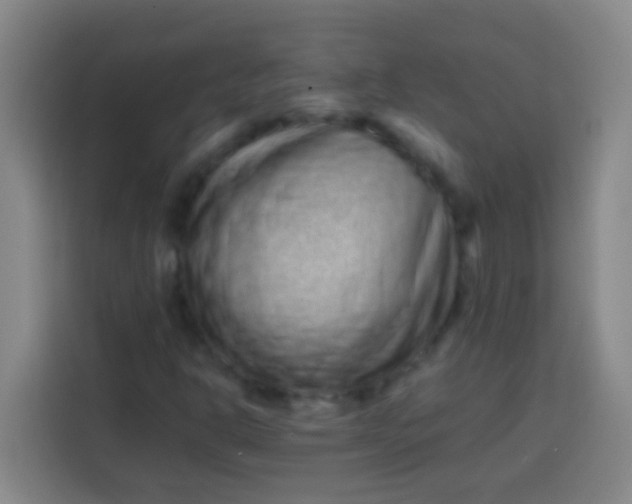 X0000113541302200910021341