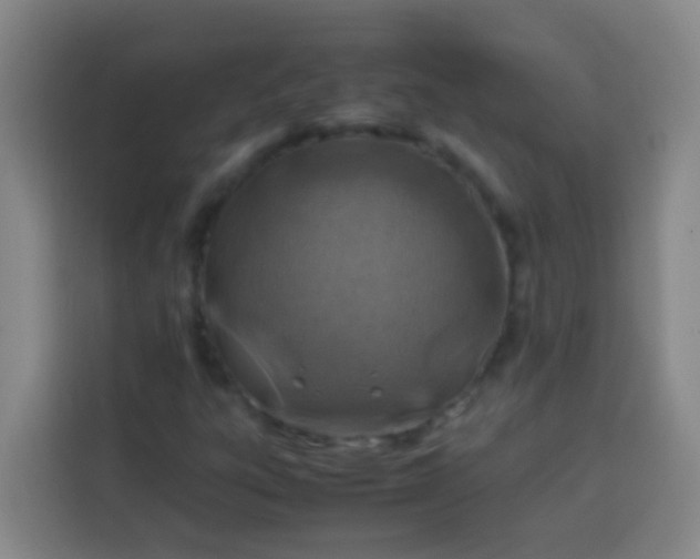 X0000113541303200910021341