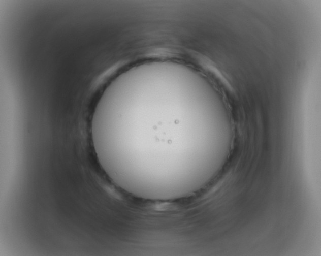 X0000113541304200910021341